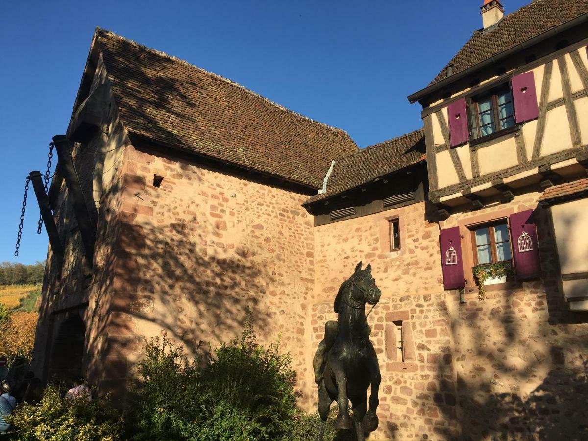 Laterale Residences Riquewihr Eksteriør billede
